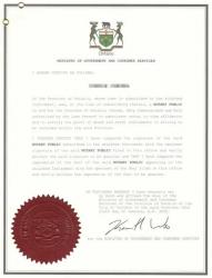 加拿大同一人聲明書三級(jí)使館認(rèn)證樣本