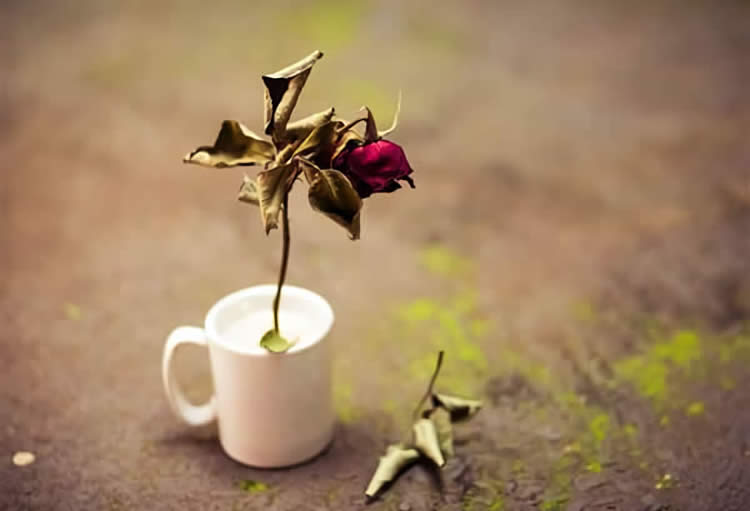 香港死亡證用于國內(nèi)繼承遺產(chǎn)怎么辦理公證手續(xù)呢？