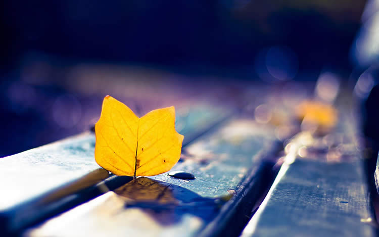 多位香港人士要如何辦理放棄繼承死者享有在內(nèi)地的遺產(chǎn)呢？