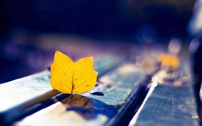 多位香港人士要如何辦理放棄繼承死者享有在內(nèi)地的遺產(chǎn)呢？