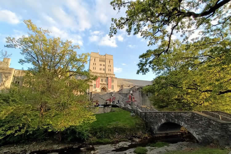 離異的加拿大公民如何辦理單身聲明三級(jí)使館認(rèn)證用于在香港結(jié)婚呢？