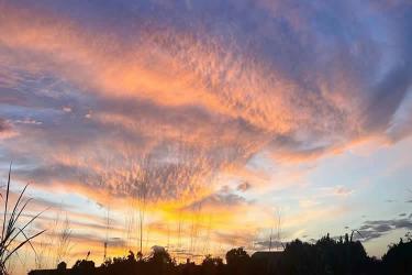 發(fā)生糾紛要在內(nèi)地法院打官司怎么公證香港死亡證是真實的呢？