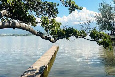 要怎么辦理香港已故人士在香港沒有婚姻及任何子女的聲明公證書用于在內(nèi)地法院訴訟呢？
