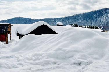 香港子女要放棄繼承內(nèi)地父母在內(nèi)地的遺產(chǎn)怎么辦理轉(zhuǎn)遞聲明公證書(shū)呢？