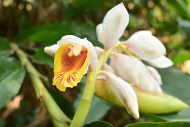 香港人要把內(nèi)地的房產(chǎn)加上配偶名字怎么做香港結(jié)婚證公證呢？