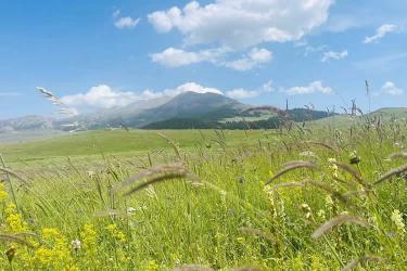 中國(guó)公民在美國(guó)離婚現(xiàn)要更改婚姻狀況怎么辦理美國(guó)離婚判決書海牙認(rèn)證？