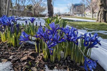 中國公民是在荷蘭結婚的現(xiàn)要離婚怎么辦理公證及海牙認證手續(xù)呢？