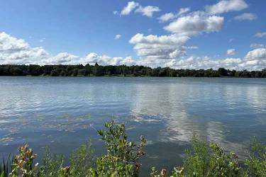 香港護照怎么辦理越南領館雙認證？可以代辦嗎？