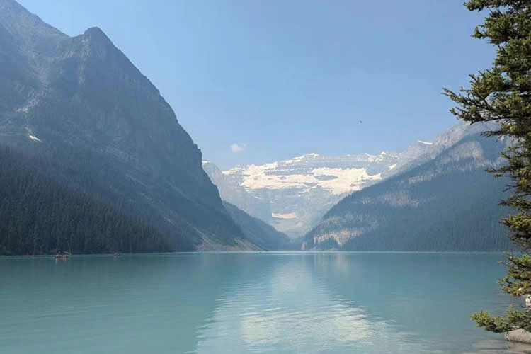 確認身份為同一人聲明書公證用于在深圳公證處辦理授權委托書