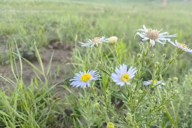 只有很久之前的出生公證書的香港人怎么辦理出生公證認證用于在香港繼承父母遺產(chǎn)呢？ 