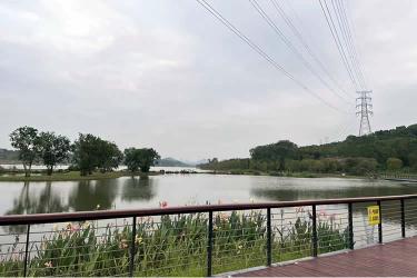 香港居民如何辦理放棄個人房產(chǎn)份額聲明書公證呢？