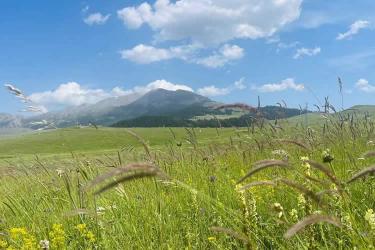 美國(guó)公民的香港死亡證明怎么辦理國(guó)際海牙認(rèn)證手續(xù)呢？