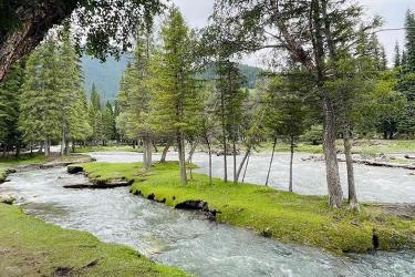 中國公民要在越南設立公司怎么在香港辦理中國護照越南公證雙認證手續(xù)呢？