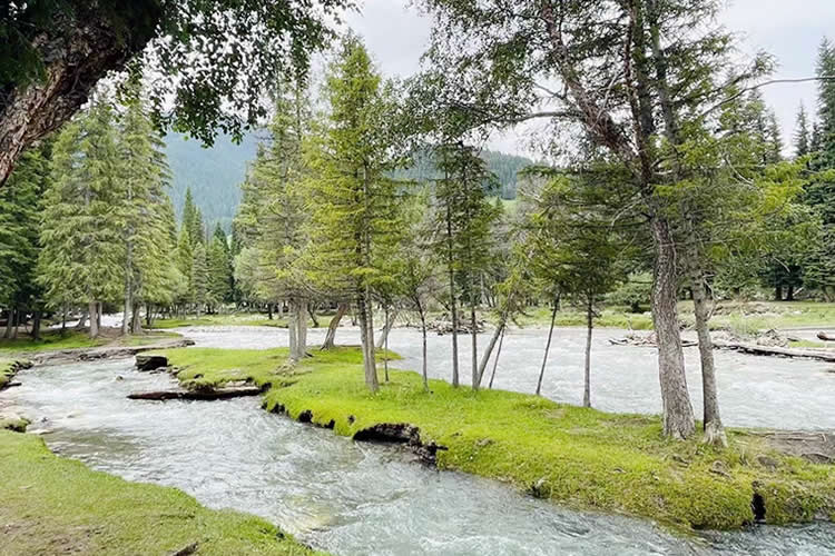 內地人移民香港注銷內地戶籍后什么情況下需要做同一人公證呢？