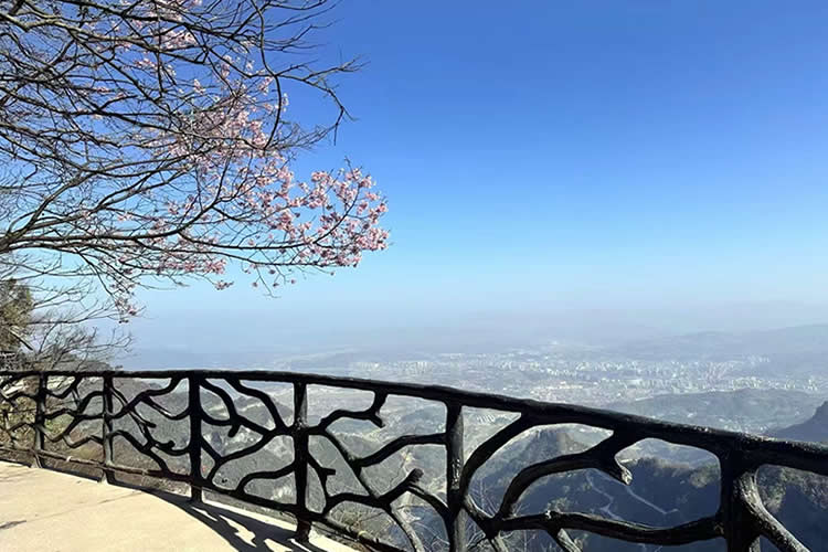 已有香港高院的遺囑認證書，怎么辦理香港親屬關(guān)系及遺囑狀況聲明書公證呢？