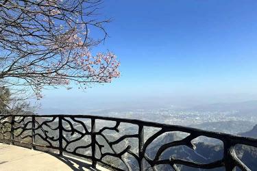 已有香港高院的遺囑認(rèn)證書(shū)，怎么辦理香港親屬關(guān)系及遺囑狀況聲明書(shū)公證呢？