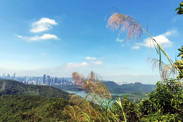 香港人怎么辦理中國(guó)內(nèi)地出生公證海牙認(rèn)證用于移民新加坡呢？