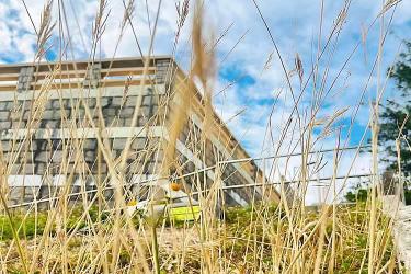  香港個(gè)人授權(quán)委托書(shū)公證用于委托配偶出售未成年子女的內(nèi)地房產(chǎn)