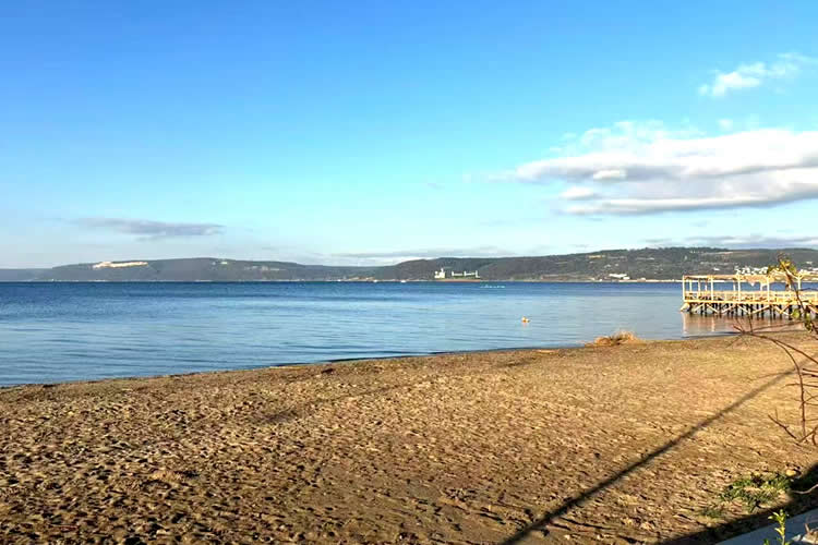 配偶和子女都是內地身份的香港居民要怎么辦理婚姻及家庭狀況聲明書公證？