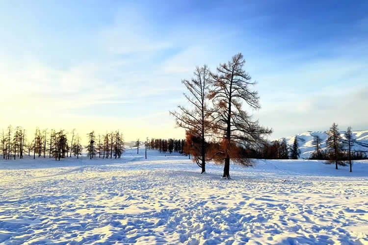 香港結婚證加章轉遞公證用于港童港寶深圳上學入園使用